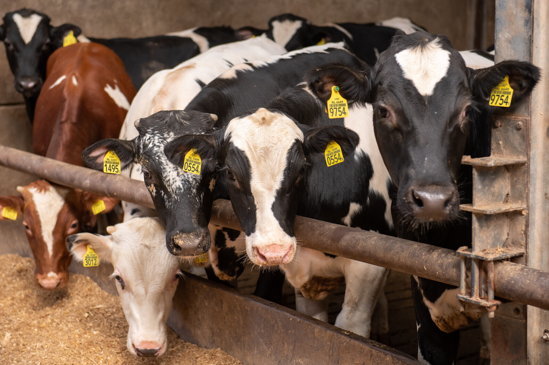 PALI Group veau en quelques chiffres