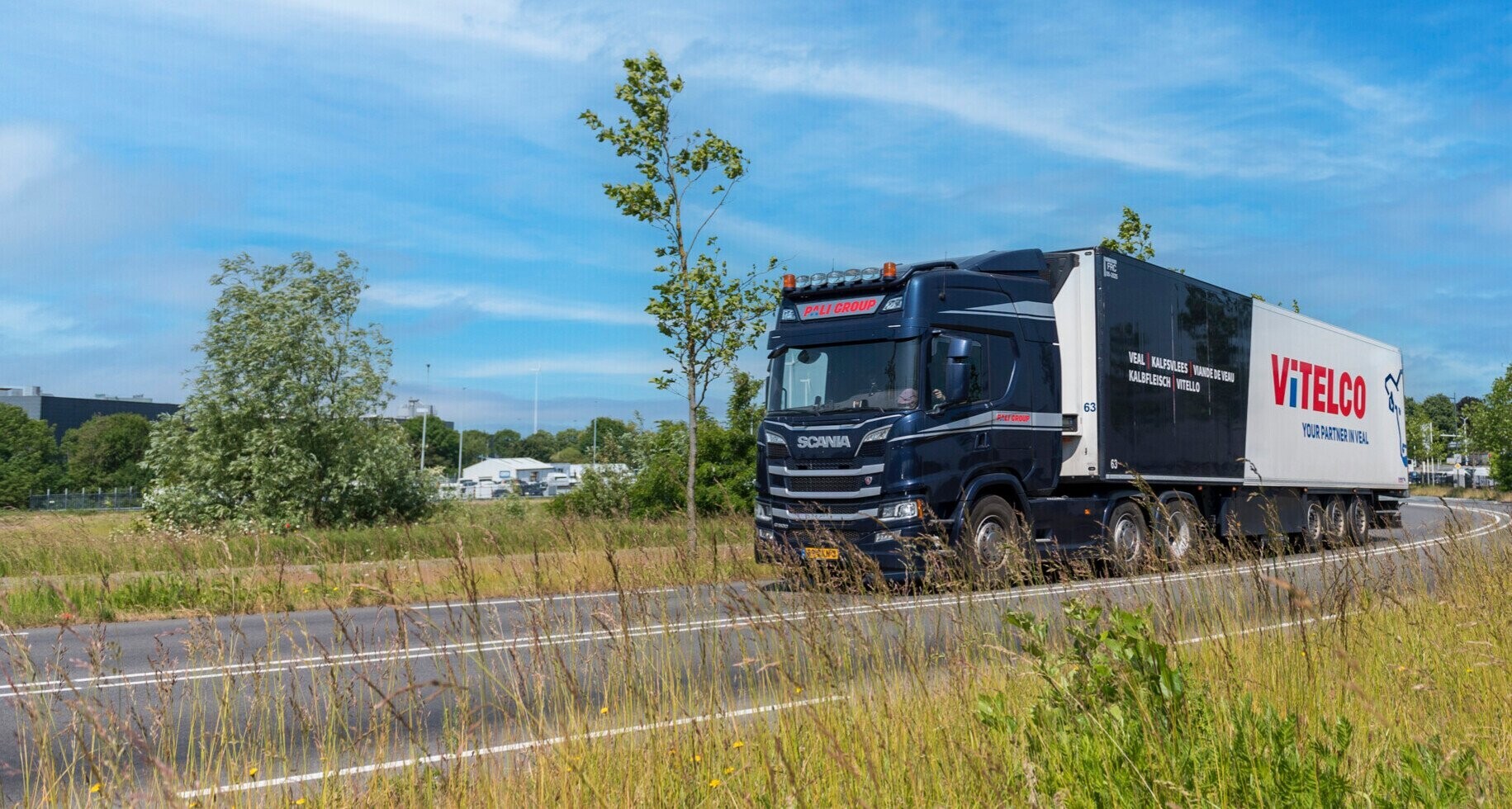 PALI Group in numbers