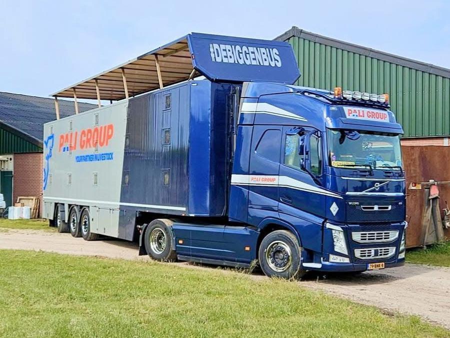 Chauffeur Varkens- en Biggentransport