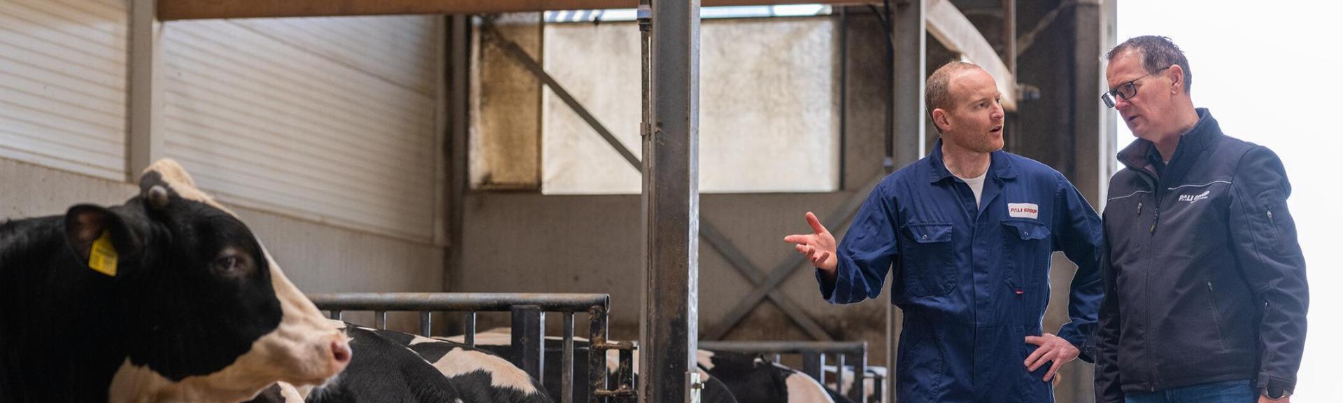 Accountmanager Buitendienst Kalverhouderij – België